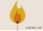 Inferno von-Joshua Jay - Preissenkung