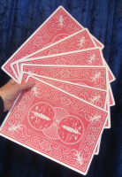 Gedachte Zahl zum Quadrat - Jumbo