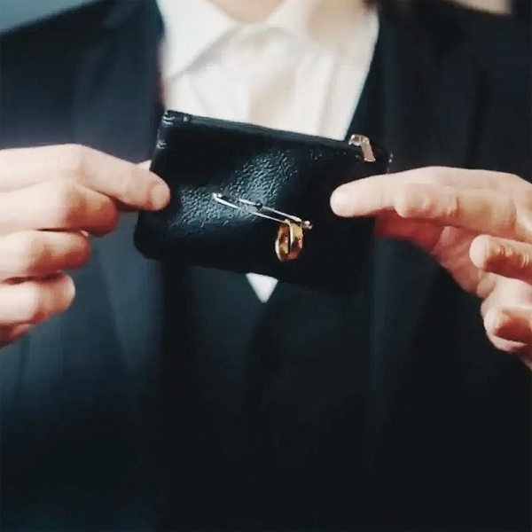 Stolen  von Urbain - preisreduziert - letzte Exemplare