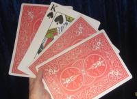 Borettis Königsparade Plus -  JUMBO AUSFÜHRUNG