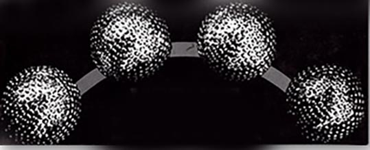 Ballvermehrung Climax von Vernet