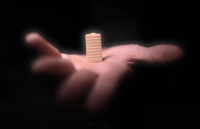 *** Spion -die letzten Exemplare