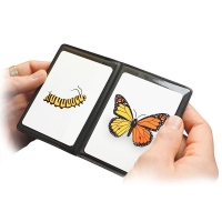*** Wild Card  - Schmetterlinge