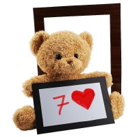 Teddy Vorhersage